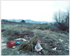  2025Ÿ41509  ȼ 赿 125-1       (1)