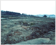  2025Ÿ41509  ȼ 赿 125-1       (1)