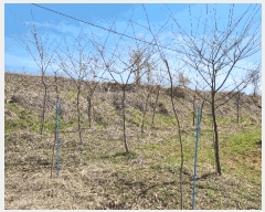  2025Ÿ��41564 ��� ���ý� ������ ȫ���� 105      ����(��1)���