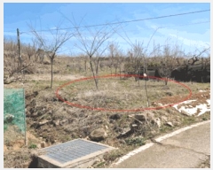  2025Ÿ��41564 ��� ���ý� ������ ȫ���� 105      ����(��1)���