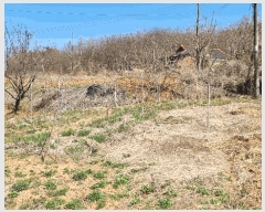  2025Ÿ��41564 ��� ���ý� ������ ȫ���� 105      ����(��1)���