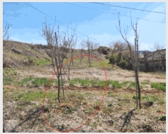  2025Ÿ��41564 ��� ���ý� ������ ȫ���� 105      ����(��1)���