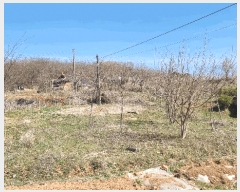  2025Ÿ��41564 ��� ���ý� ������ ȫ���� 105      ����(��1)���