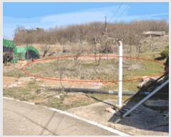  2025Ÿ��41564 ��� ���ý� ������ ȫ���� 105      ����(��1)���