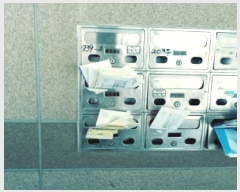  2025Ÿ��41574  �ټ���(����)���