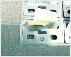  2025Ÿ��41574  �ټ���(����)���