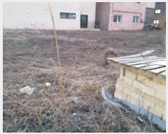  2025Ÿ��41655 ��� ���ý� ������ 2630-2       ����(����)���