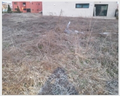  2025Ÿ��41655 ��� ���ý� ������ 2630-2       ����(����)���