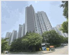  2025Ÿ��41928  ����Ʈ���