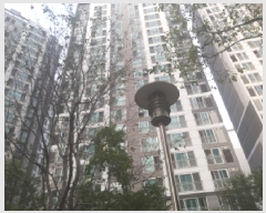  2025Ÿ��42614 ��� �ȼ��� ������ ������ 880 �����ν�Ƽ����� 110�� 5��502ȣ   ����Ʈ���