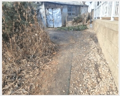  2025Ÿ��43246  �������