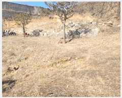  2025Ÿ��141 ��� �ȼ��� ����� ������ 304-10      ���ð��