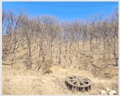  2025Ÿ��141 ��� �ȼ��� ����� ������ 304-10      ���ð��