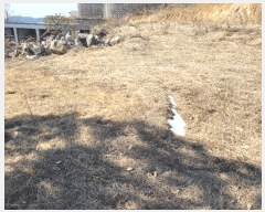  2025Ÿ��141 ��� �ȼ��� ����� ������ 304-10      ���ð��