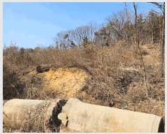  2025Ÿ��424 ��� ���ý� û���� ���Ÿ� ��48-3      ����(�Ӿ�)���