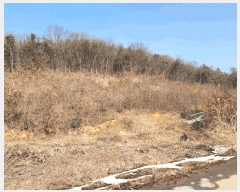  2025Ÿ��424 ��� ���ý� û���� ���Ÿ� ��48-3      ����(�Ӿ�)���