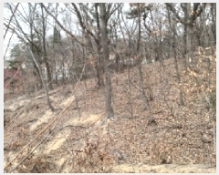  2025Ÿ��424 ��� ���ý� û���� ���Ÿ� ��48-3      ����(�Ӿ�)���