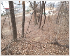  2025Ÿ��424 ��� ���ý� û���� ���Ÿ� ��48-3      ����(�Ӿ�)���