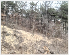  2025Ÿ��424 ��� ���ý� û���� ���Ÿ� ��48-3      ����(�Ӿ�)���