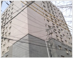  2025Ÿ��544  ��������Ȱ���ð��