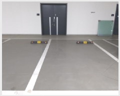  2025Ÿ��545  ����Ʈ��������