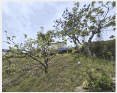  2025Ÿ��609  ���ð��