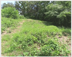  2025Ÿ��642 ��� ���ý� ���絿 378-8       ����(�Ӿ�)���