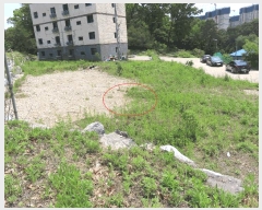  2025Ÿ��642 ��� ���ý� ���絿 378-8       ����(�Ӿ�)���