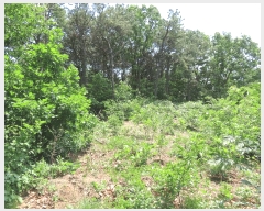  2025Ÿ��642 ��� ���ý� ���絿 378-8       ����(�Ӿ�)���