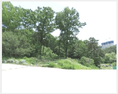  2025Ÿ��642 ��� ���ý� ���絿 378-8       ����(�Ӿ�)���