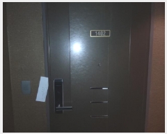  2025Ÿ��659  �ܵ�(ȣ��)���