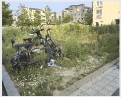  2025Ÿ��695 ��� ���ý� ������ 2120-4       ����(����)���