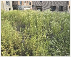  2025Ÿ��695 ��� ���ý� ������ 2120-4       ����(����)���