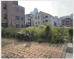  2025Ÿ��695 ��� ���ý� ������ 2120-4       ����(����)���