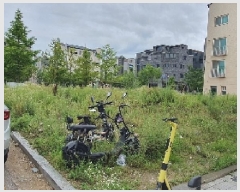  2025Ÿ��695 ��� ���ý� ������ 2120-4       ����(����)���