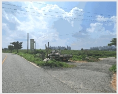  2025Ÿ��787 ��� �ȼ��� ������ ������ ��80-8      ����(�Ӿ�)���