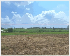  2025Ÿ��787 ��� �ȼ��� ������ ������ ��80-8      ����(�Ӿ�)���