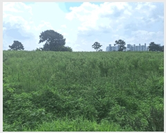  2025Ÿ��787 ��� �ȼ��� ������ ������ ��80-8      ����(�Ӿ�)���