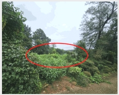  2025Ÿ��829 ��� ���ý� û���� ��Ҹ� 225-1      ����(�Ӿ�)���