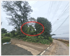  2025Ÿ��829 ��� ���ý� û���� ��Ҹ� 225-1      ����(�Ӿ�)���