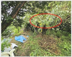  2025Ÿ��829 ��� ���ý� û���� ��Ҹ� 225-1      ����(�Ӿ�)���