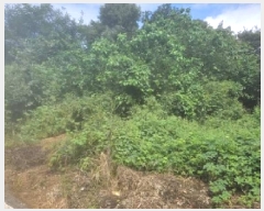  2025Ÿ��829 ��� ���ý� û���� ��Ҹ� 225-1      ����(�Ӿ�)���