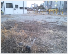  2025Ÿ��40934 ��� ���ý� ������ 2028-7       ����(����)���