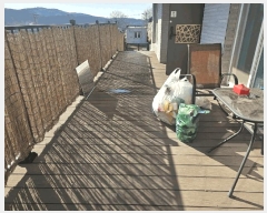  2025Ÿ��41290  ���ð��