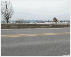  2025Ÿ��41608 ��� ���ý� ������ �Ϻϸ� 700-13      ����(��)���