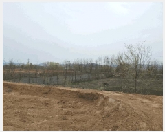  2025Ÿ��41608 ��� ���ý� ������ �Ϻϸ� 700-13      ����(��)���