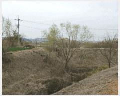  2025Ÿ��41608 ��� ���ý� ������ �Ϻϸ� 700-13      ����(��)���