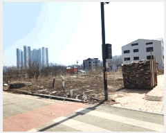  2025Ÿ��41609 ��� ���ý� ������ 2443-1       ����(����)���