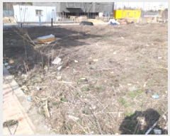  2025Ÿ��41609 ��� ���ý� ������ 2443-1       ����(����)���