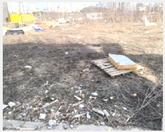  2025Ÿ��41609 ��� ���ý� ������ 2443-1       ����(����)���